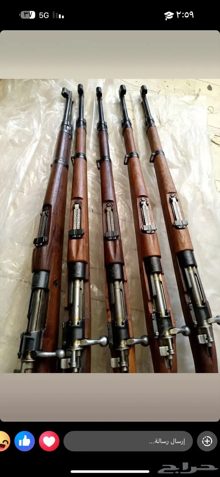 نخل للبيع بجميع أنواعه وتركيب الشبوك 22