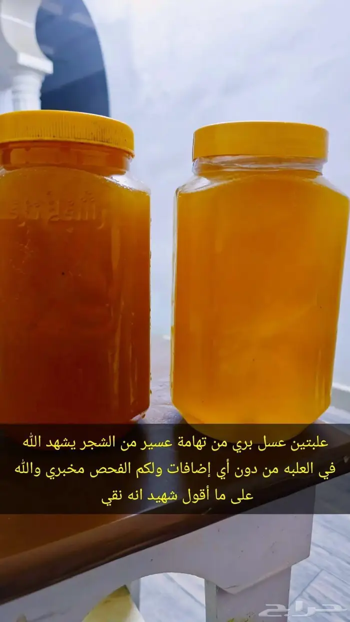 عسل مضمون من اشجار تهامة عسير 0