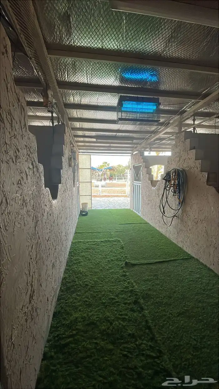 ايواء خيل 6
