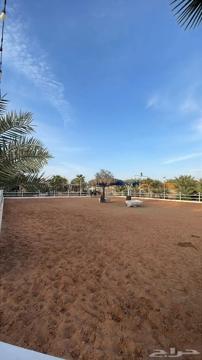 ايواء خيل 5