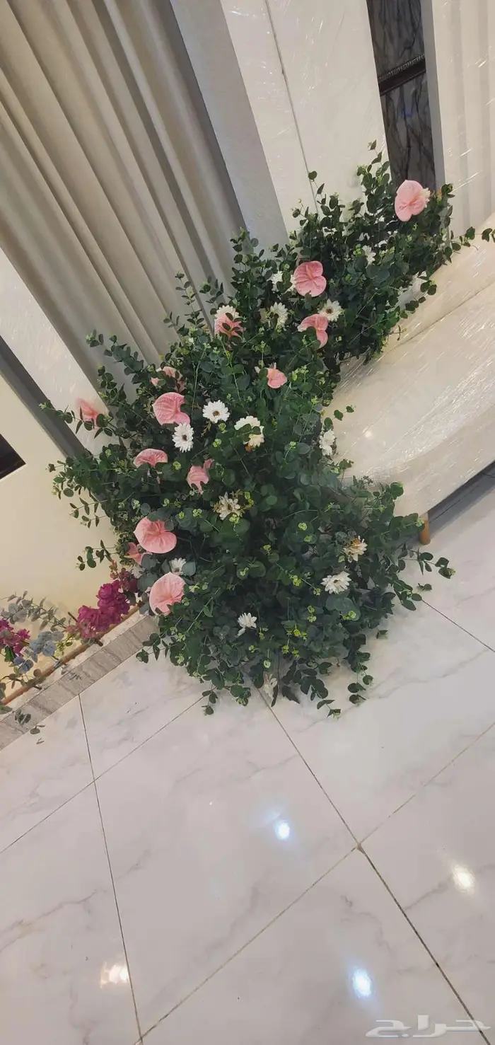 كوشات حفلتي 2