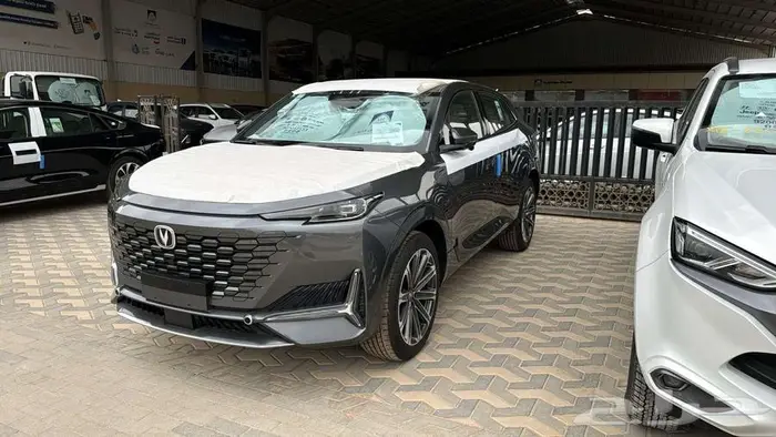 شانجان يونى كى 2025 1