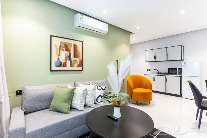 شقة غرفة وصالة فاخرة شهري خلف البوليفارد مباشرة - خصم شهري 2