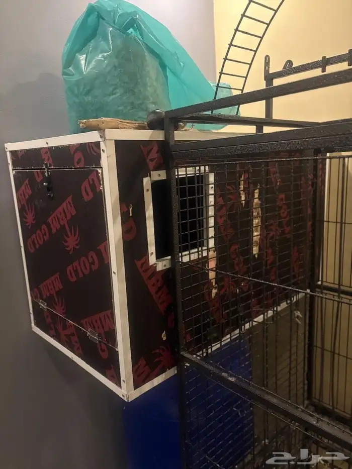 قفص   فقاسه كبير وبحاله ممتازة 1