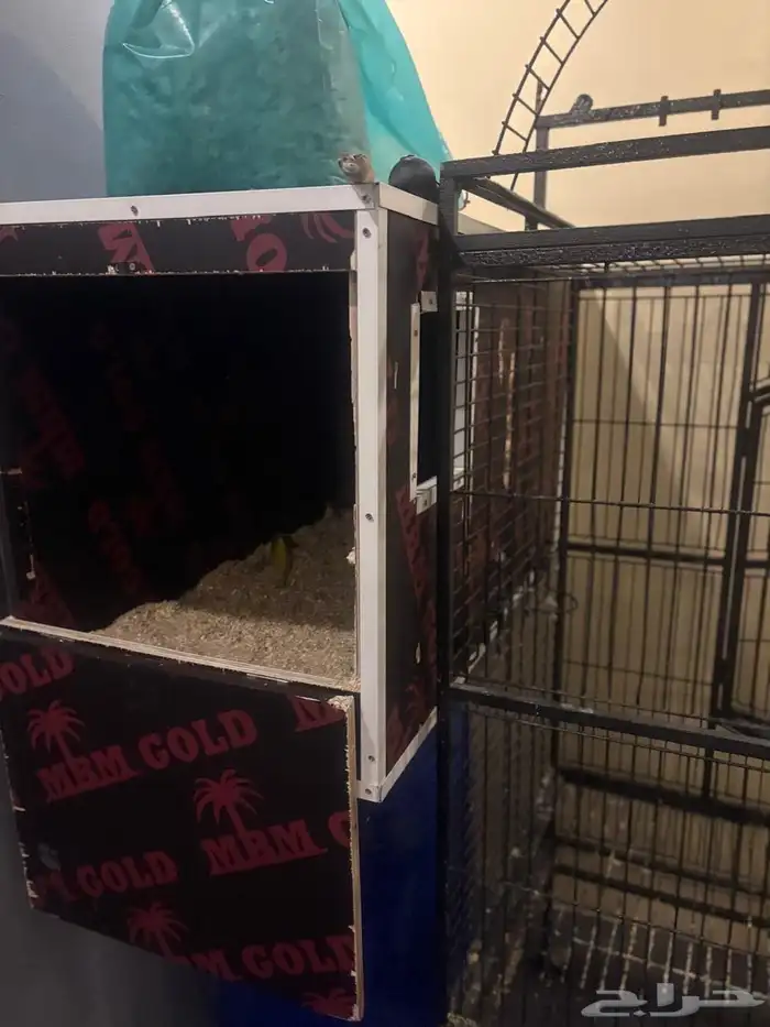 قفص   فقاسه كبير وبحاله ممتازة 7
