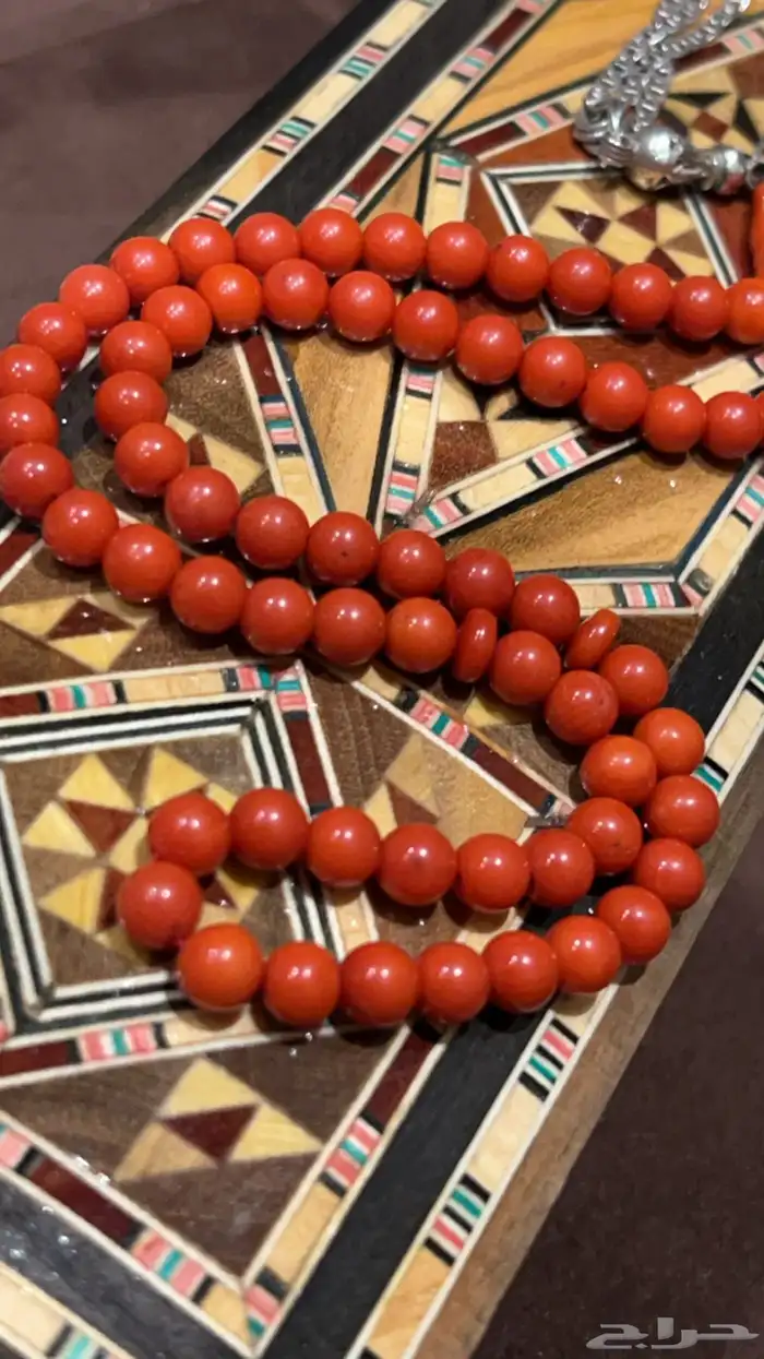 مرجان تونسي حر قديم نوادر 1
