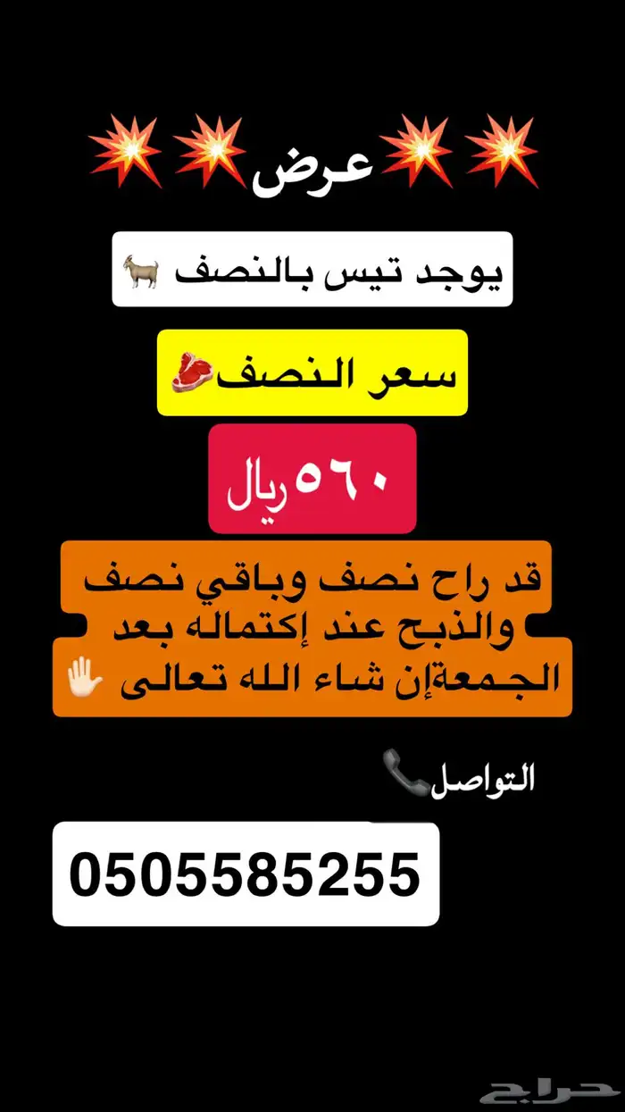تيس بالنصف احص بلدي شرط 560 0