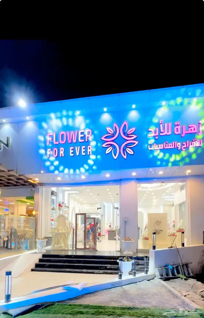 ليزر وانارة افتتاح 0