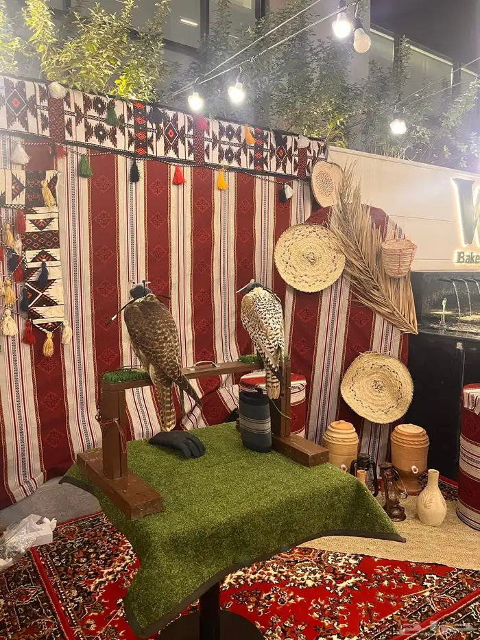 تأجير طيور للمناسبات والاعياد 0