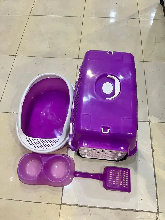 طقم قطط 2