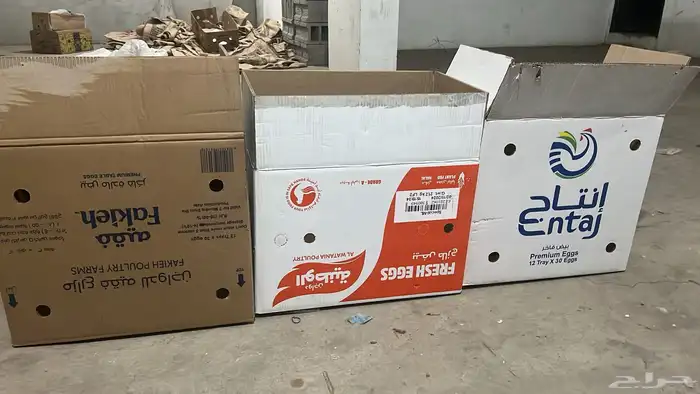كراتين بيض 3