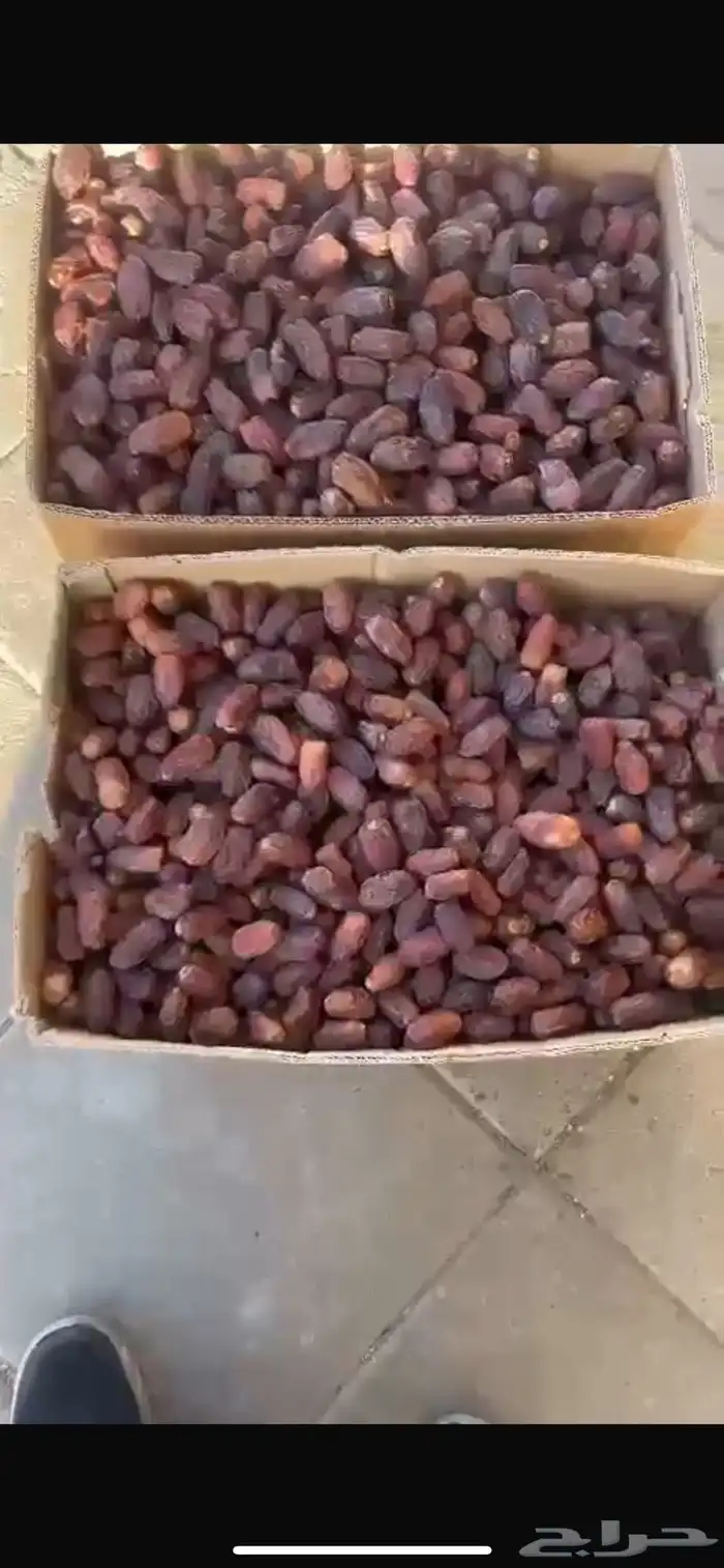 مجدول فاخر ب 10 ريال الكيلو فرصه 0