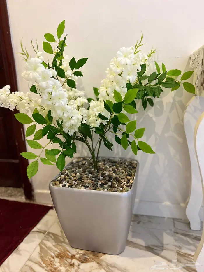 مراكن زرع للبيع 3