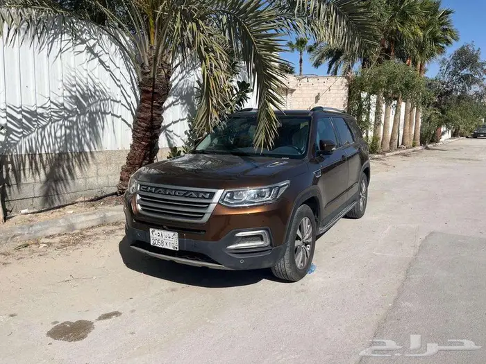القطيف 6