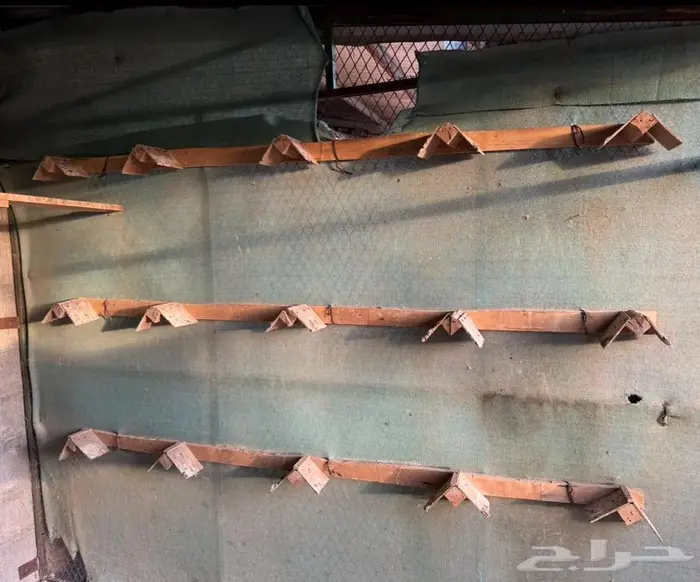 فقاسات محاكر عوامات معالف سقايات صحون بيض 1