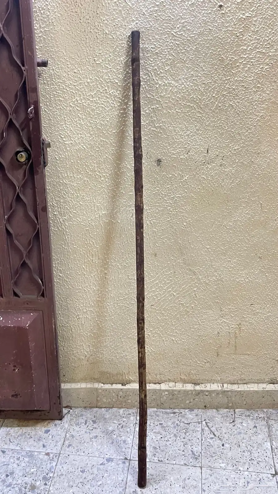 عصي مزمار 3