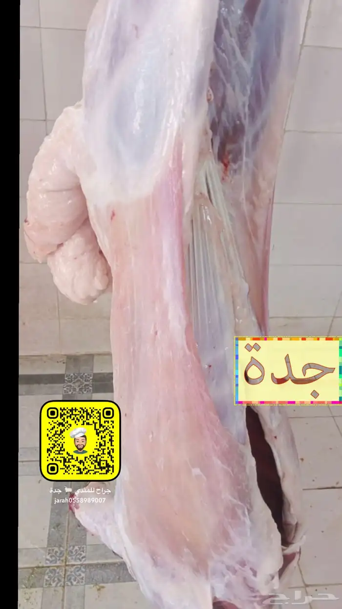 حريات للمناسبات 0