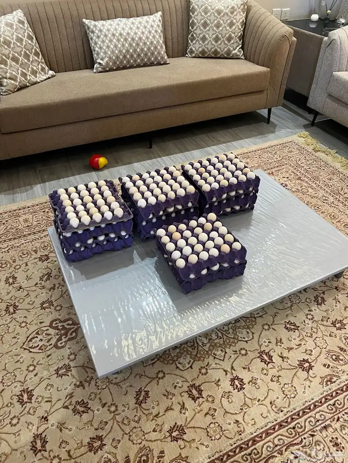 بيض دجاج بلدي على مرعى 2