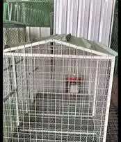 قفص كلاب قفص قطط اقفاص شبك حيوانات دواجن 0