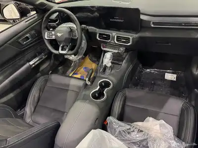 موستنج كشف 2024 GT 8V 5.0 للايجار 4
