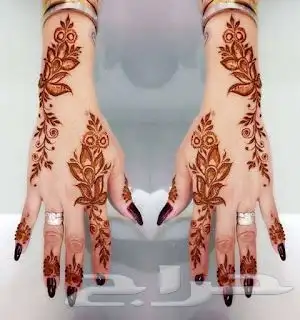 نقاشه في الجموم و ماحوله 0