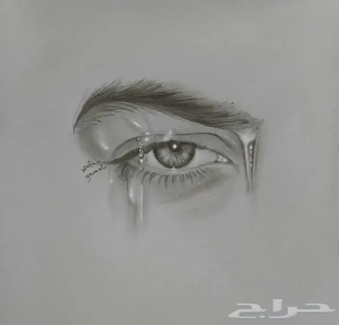 دروس رسم خصوصية بمستوى عالي 1