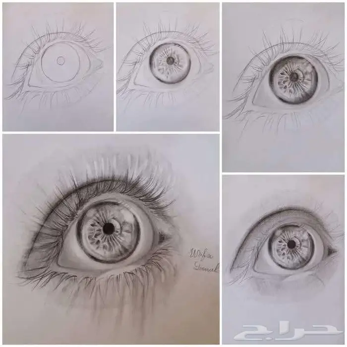 دروس رسم خصوصية بمستوى عالي 2