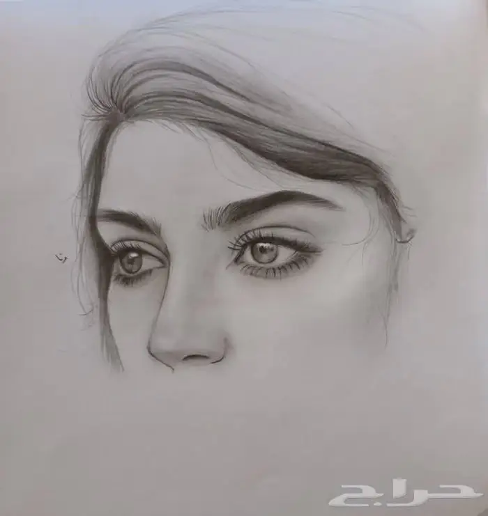 دروس رسم خصوصية بمستوى عالي 15