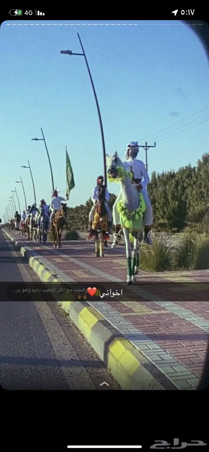 مربط  العاديات 7
