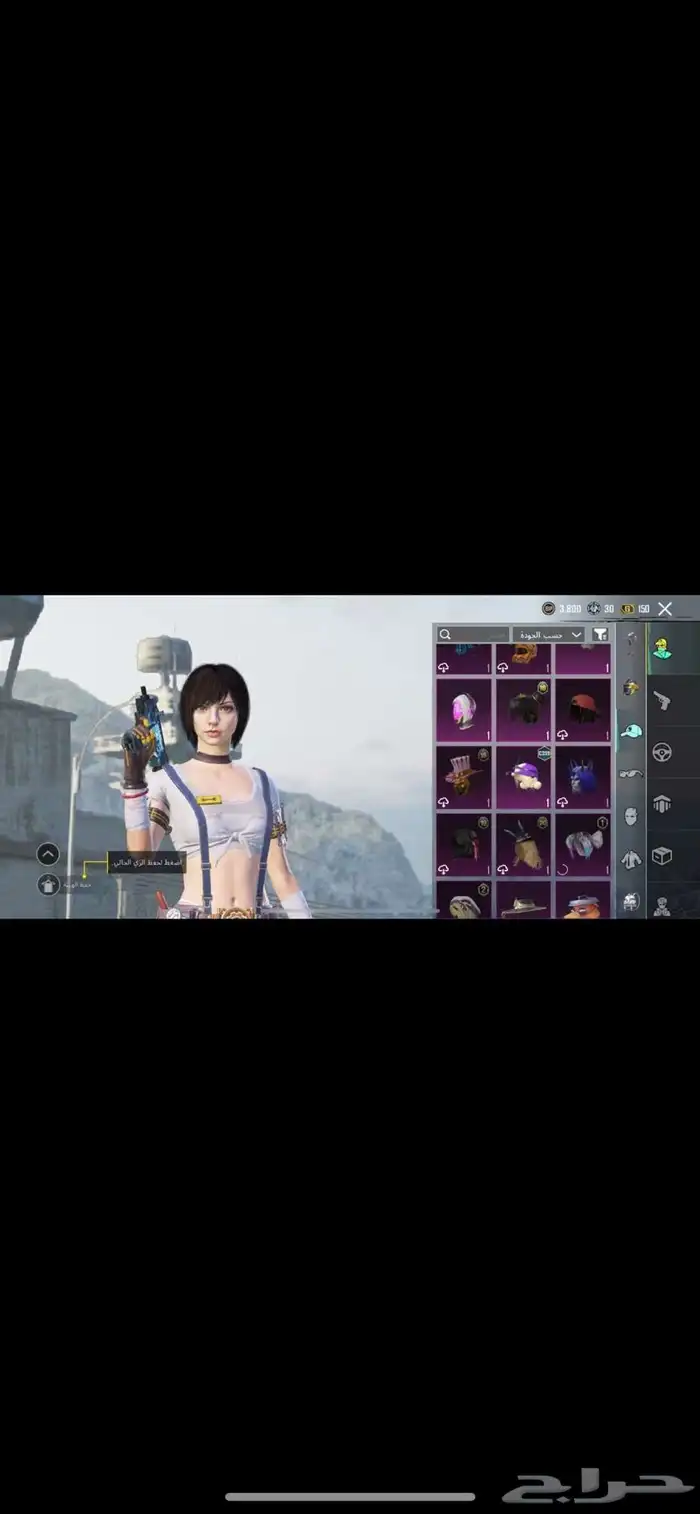 ببجي 29