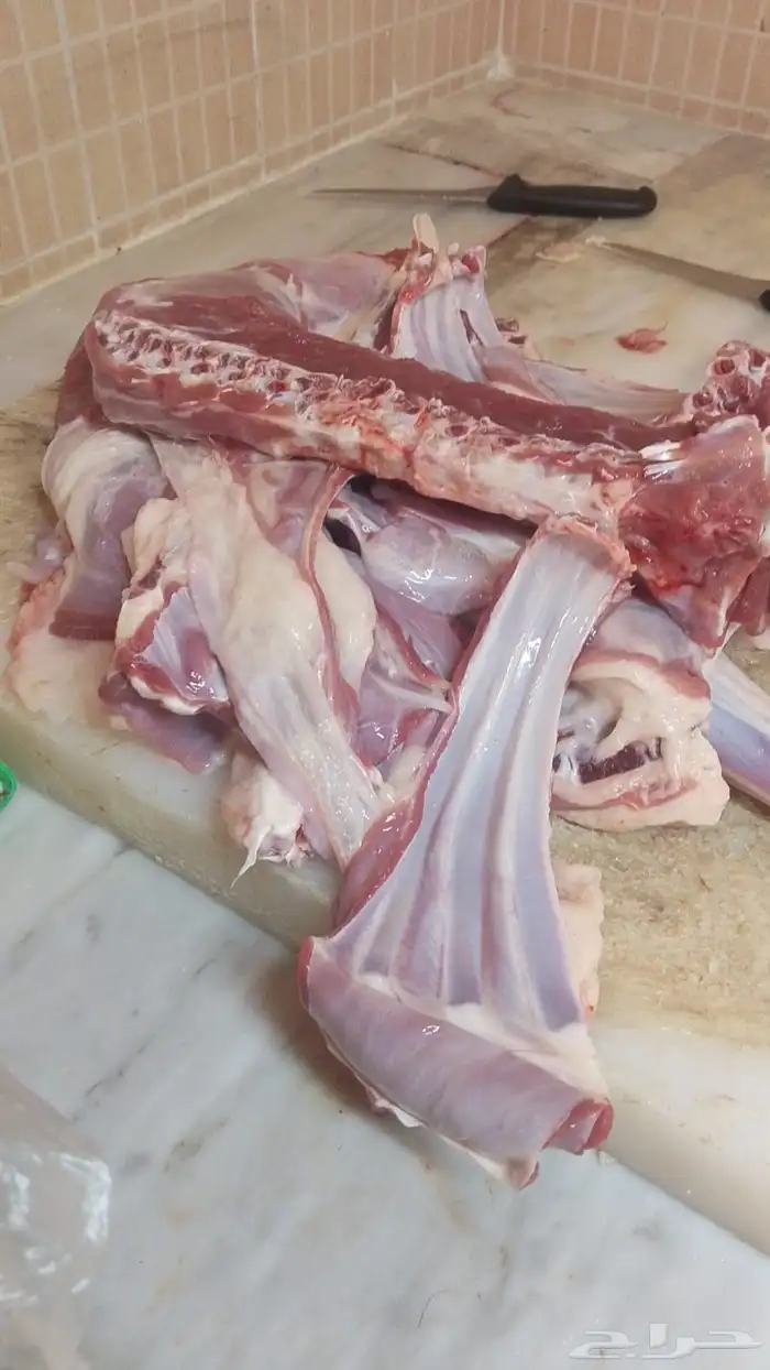 ذبايح يوجد ذبح وتوصيل 5