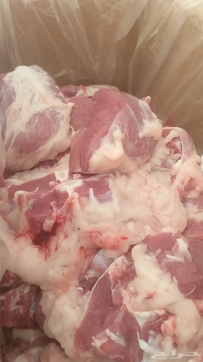 ذبايح يوجد ذبح وتوصيل 1
