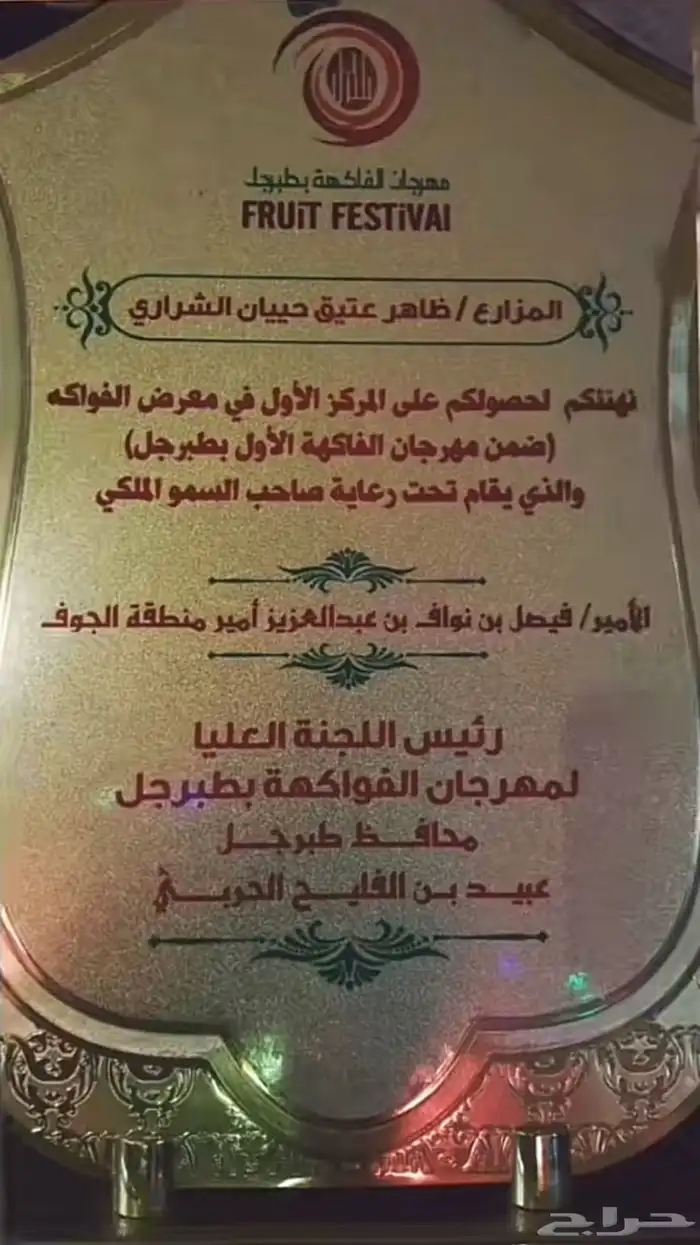 افضل زيت زيتون الجوف بالمملكه 8