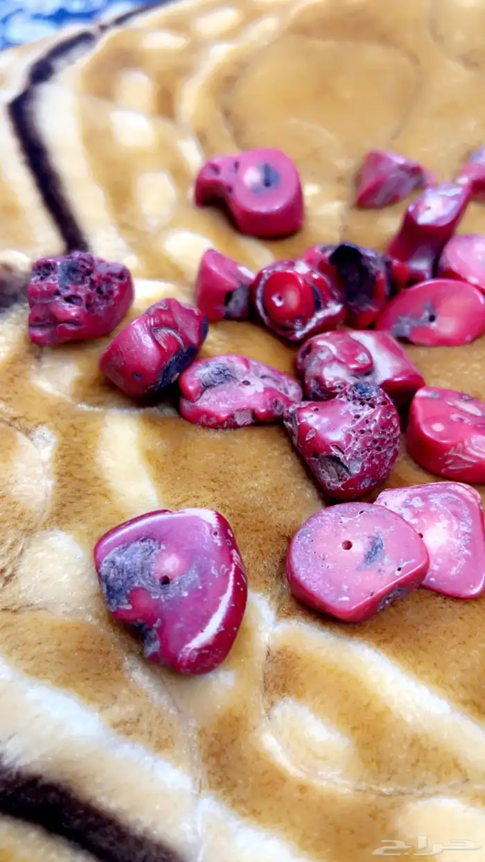 مرجان طبيعي 1