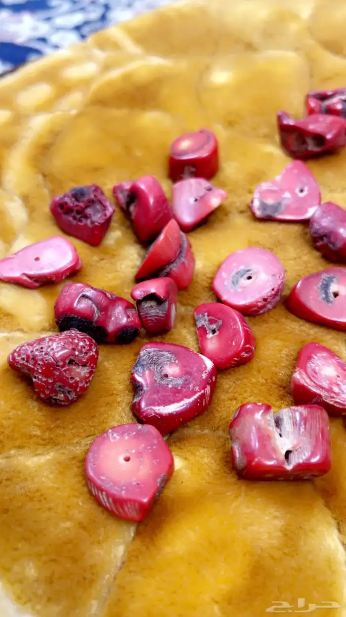 مرجان طبيعي 0