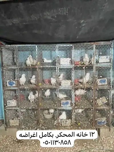 محاكر حمام 4 محاكر. كل محكر 12 خانه.   (6 عشش مترين وعليها 1