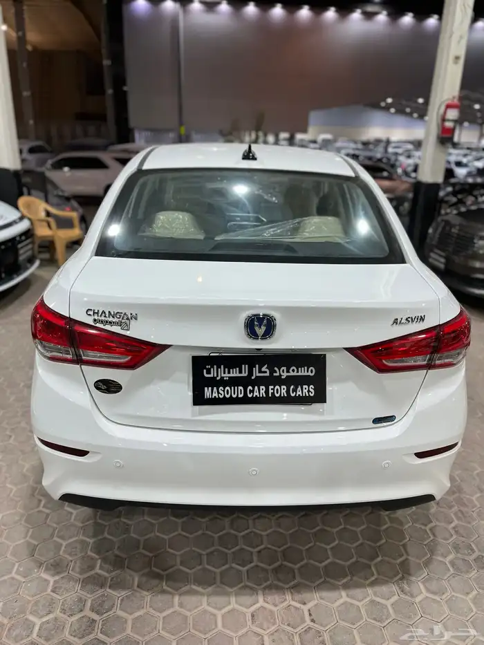 شانجان السفن 2025 19