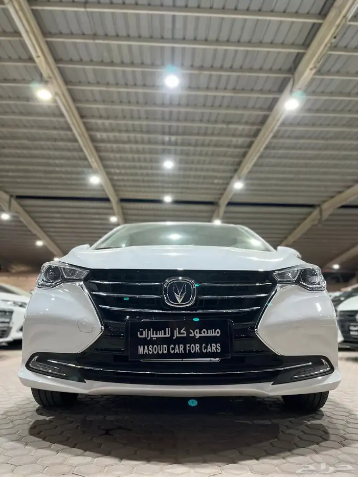 شانجان السفن 2025 2