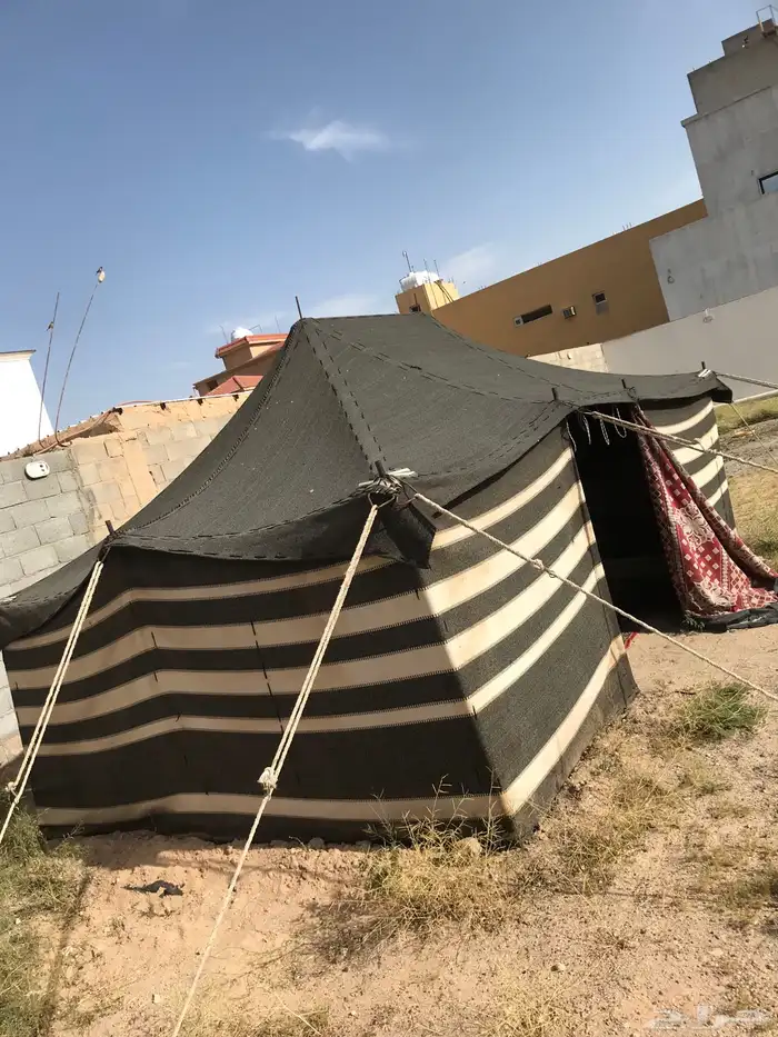 بيت شعر البيع6 4 0