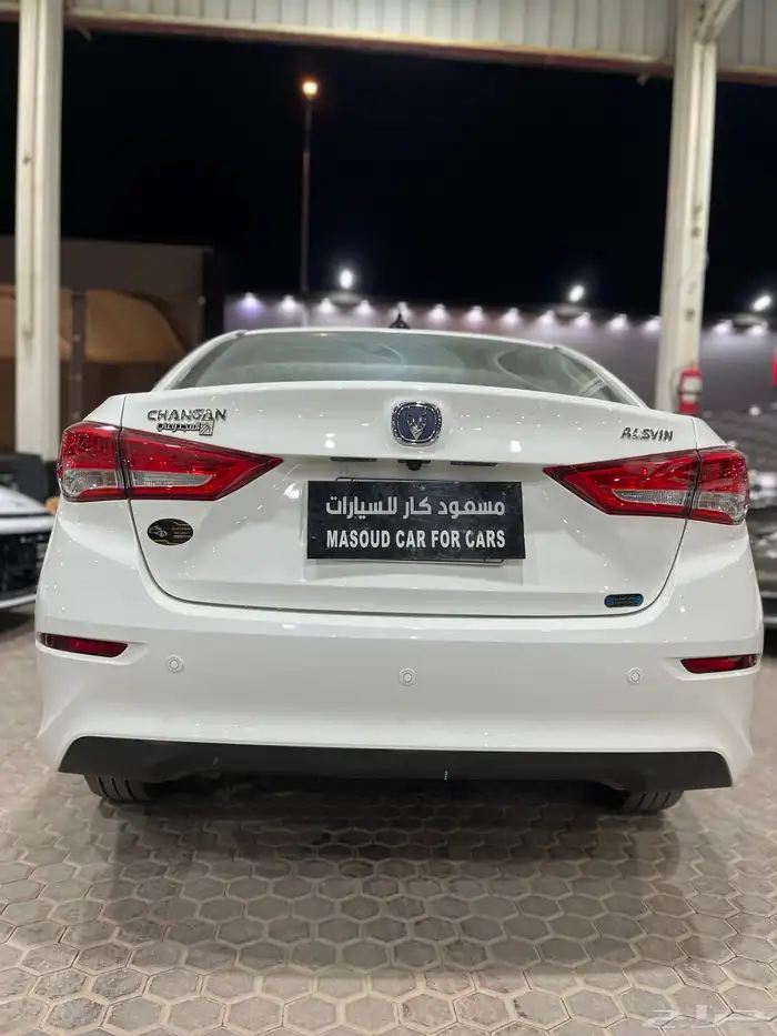 شانجان السفن 2025 20