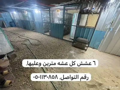 محاكر حمام 4 محاكر. كل محكر 12 خانه.   (6 عشش مترين وعليها 2