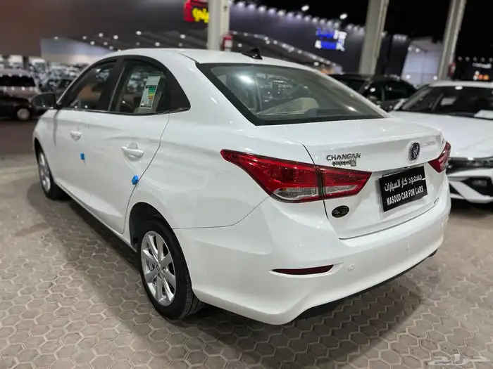 شانجان السفن 2025 16
