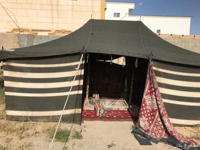 بيت شعر البيع6 4 1