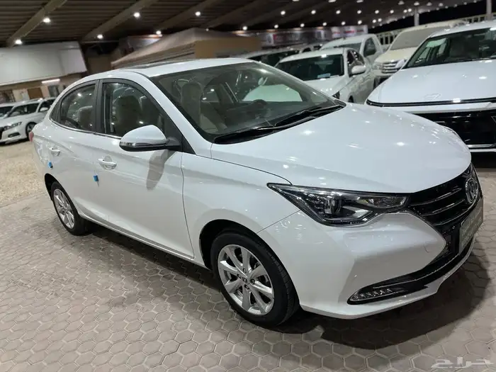 شانجان السفن 2025 10