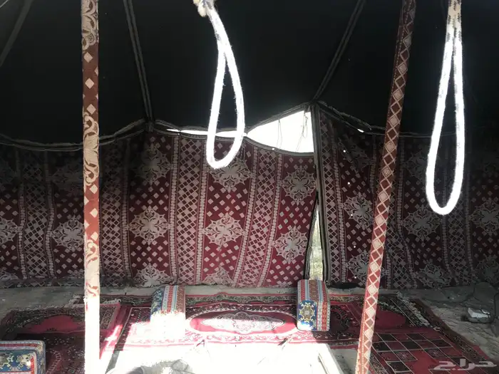 بيت شعر البيع6 4 7