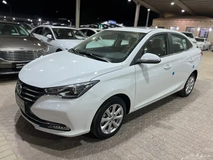 شانجان السفن 2025 6