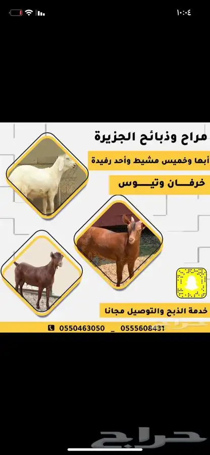 ذبايح مع خدمة الذبح والتوصيل 4