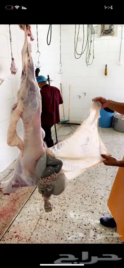 ذبايح مع خدمة الذبح والتوصيل 2