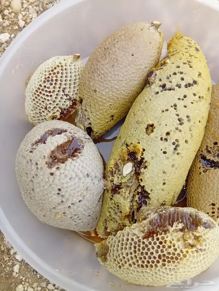 عسل حر جبلي 1