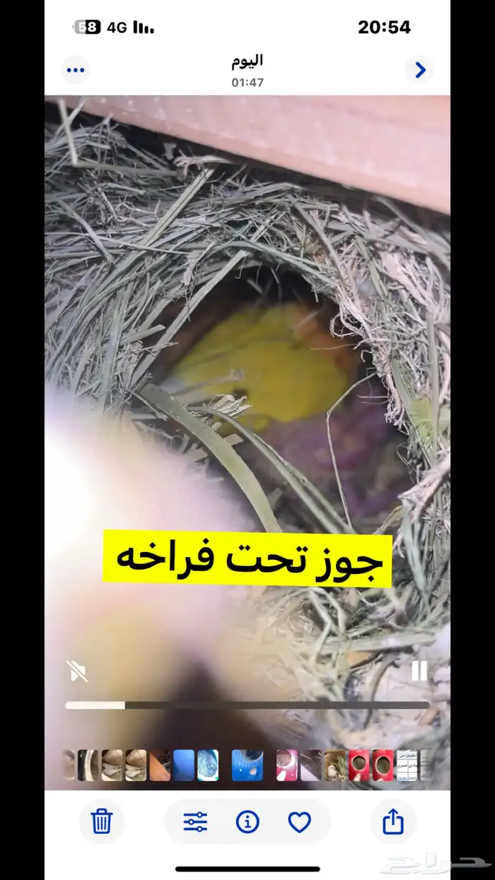 روز للبيع 5